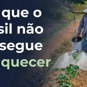 O maior desafio econômico e social do Brasil